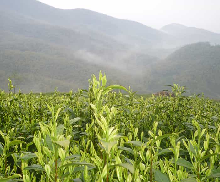 雙頭精雕機(jī)和單頭精雕機(jī)比有什么優(yōu)勢(shì)？在選擇時(shí)要考慮什么因素？